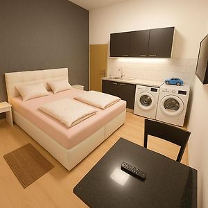 Appartement met een Slaapkamer